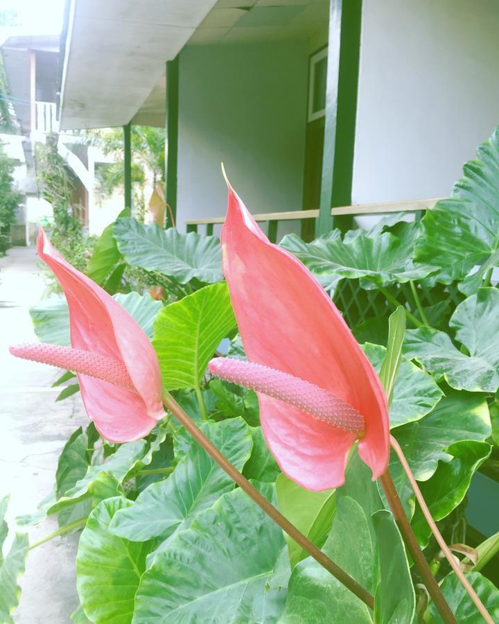 Nanda Wunn Hotel Nyaung Shwe Zewnętrze zdjęcie